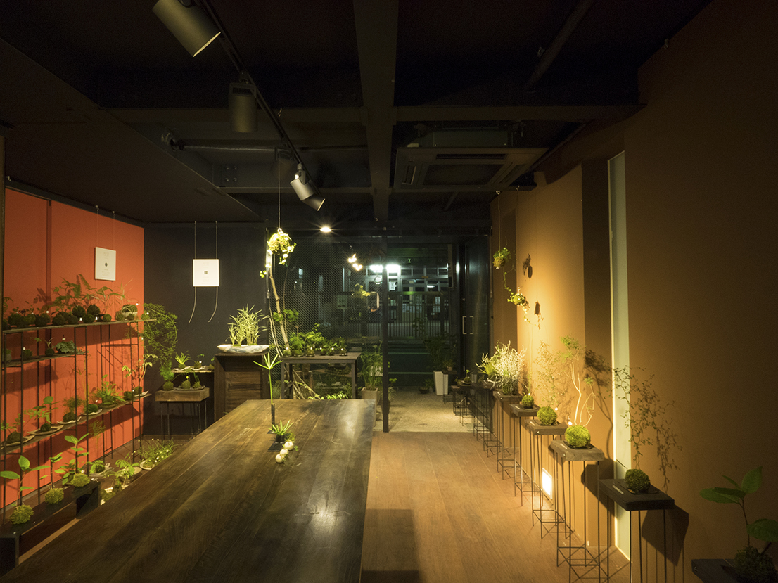 作品展示・ワークショップ